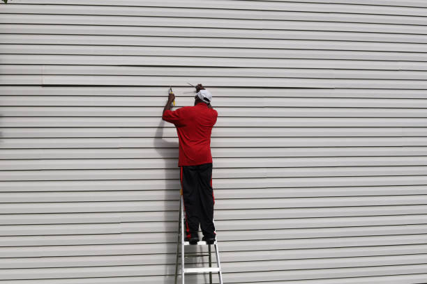 Best Brick Veneer Siding  in Las Vegas, NV